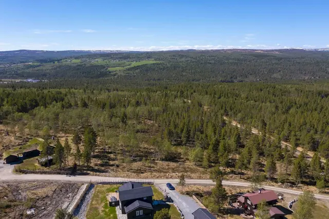 Drone 0306_7.jpg