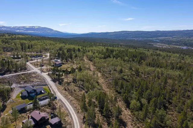 Drone 0306_8.jpg