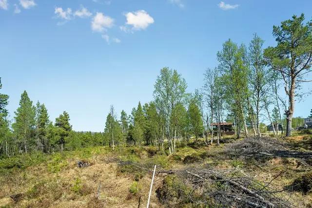 Midterste tomt0206.jpg