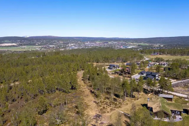 Drone 0306_6.jpg